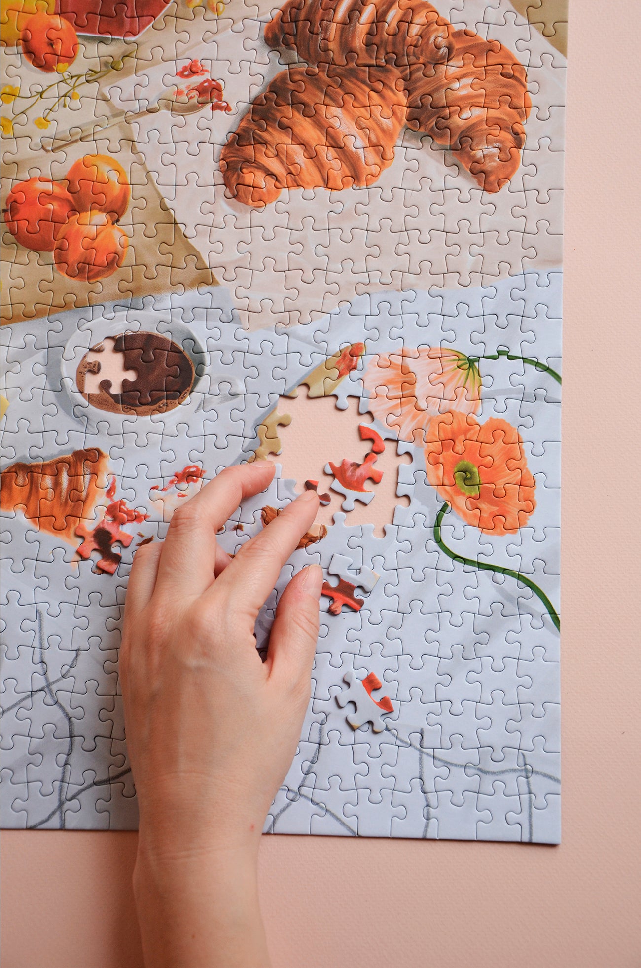 Puzzle 1000 pièces
