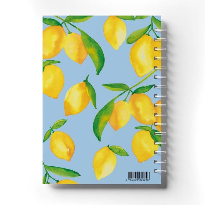 CARNET DE RECETTES - QUARTIER LIBRE