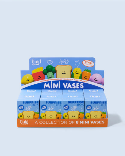 SURPRISE BOX FOOD - FLUID MARKET