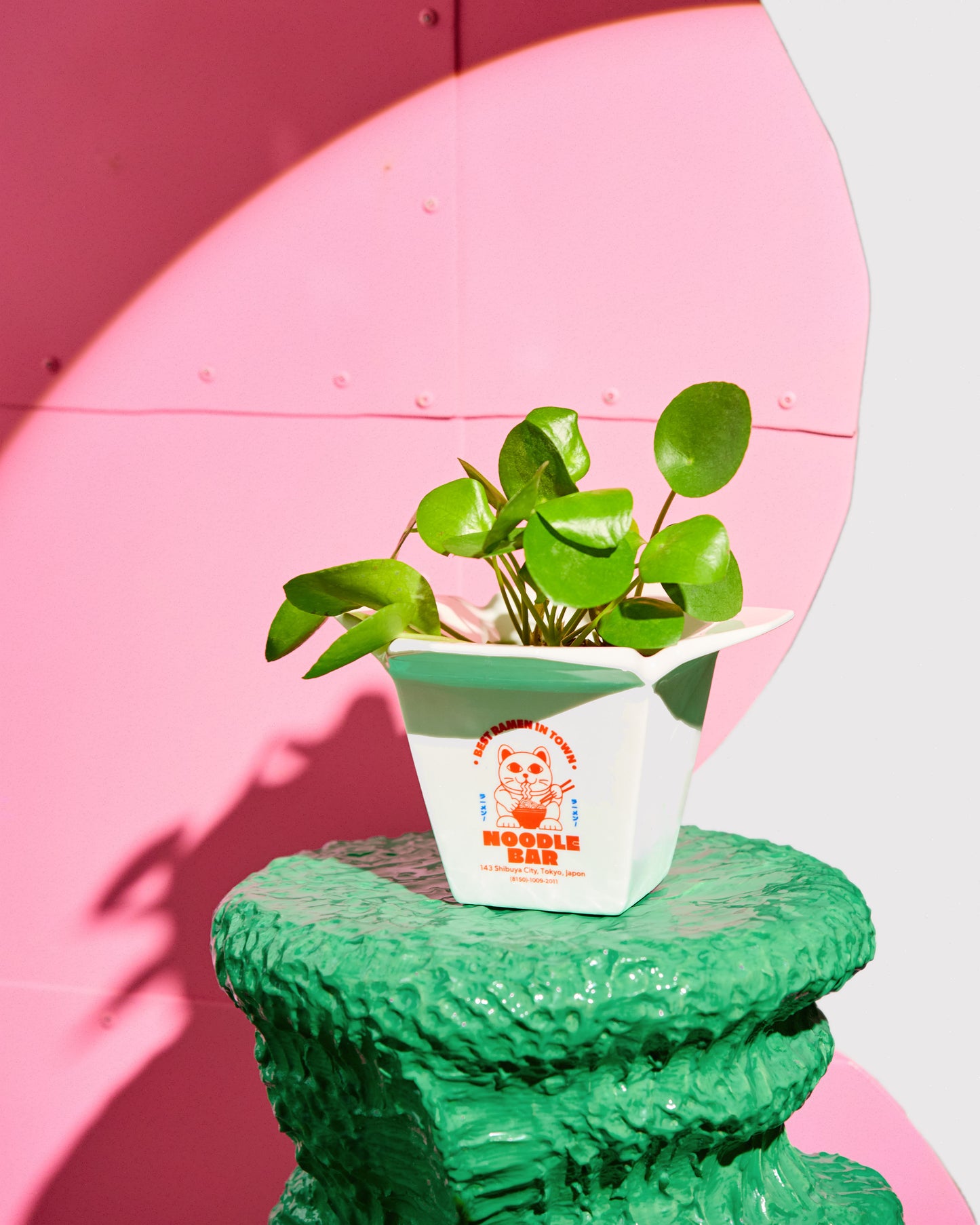 CACHE POT RAMEN - FLUID MARKET